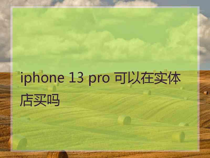 iphone 13 pro 可以在实体店买吗