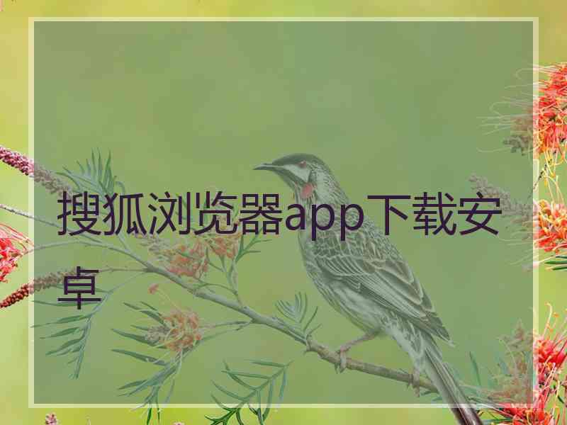 搜狐浏览器app下载安卓