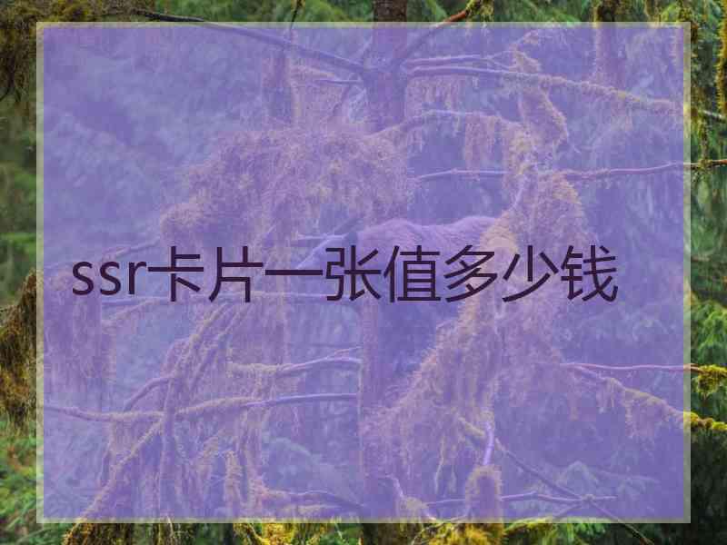 ssr卡片一张值多少钱