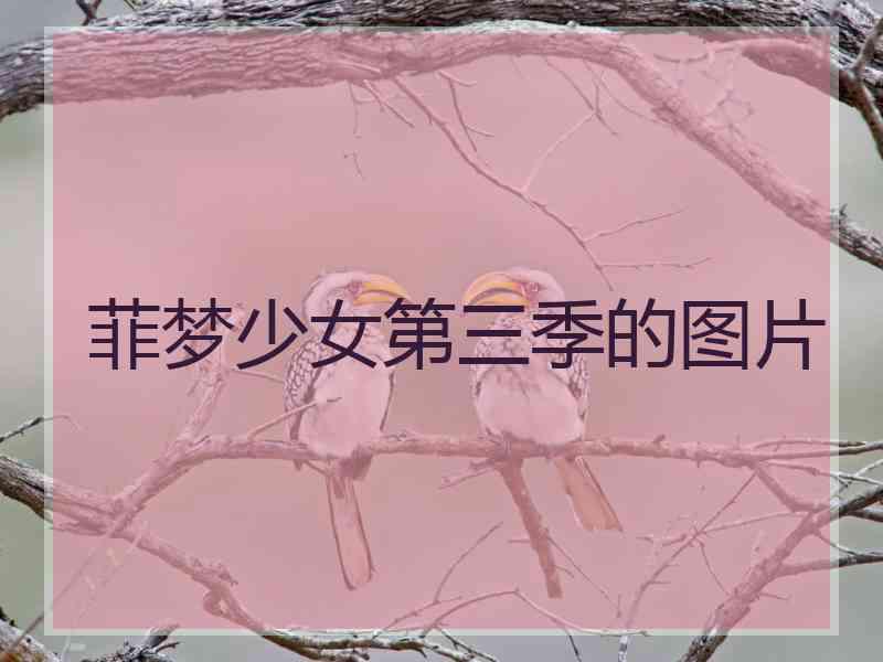 菲梦少女第三季的图片