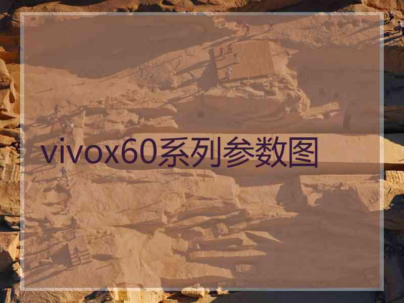 vivox60系列参数图