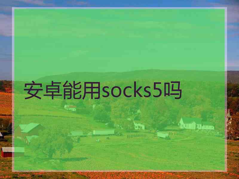 安卓能用socks5吗