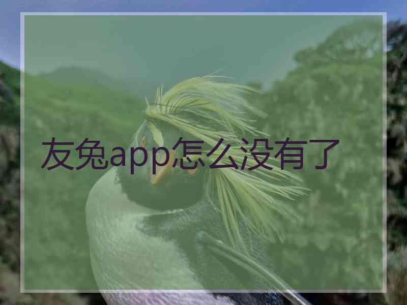 友兔app怎么没有了