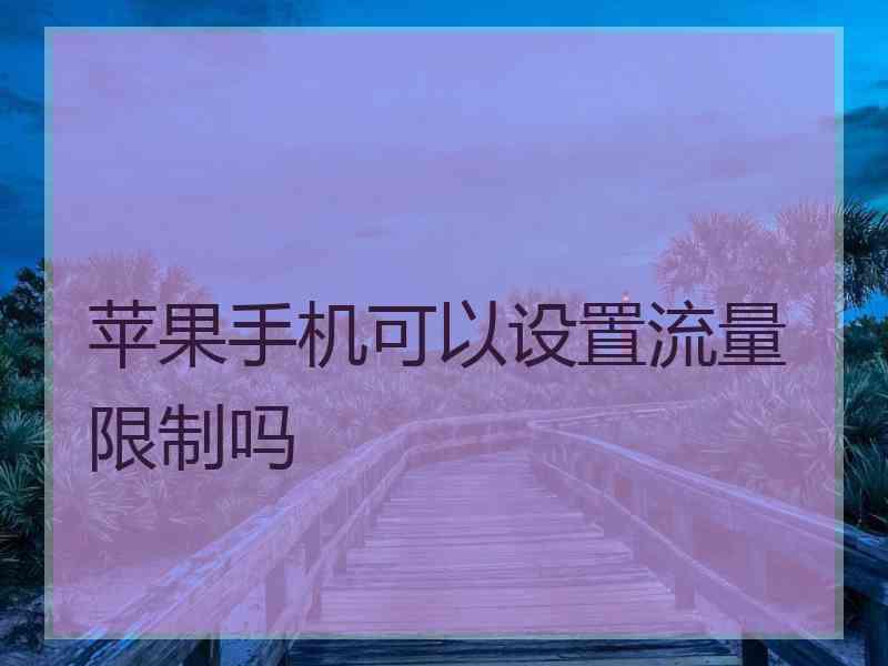 苹果手机可以设置流量限制吗