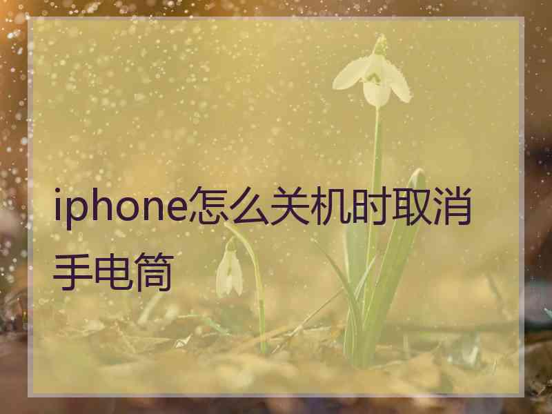 iphone怎么关机时取消手电筒