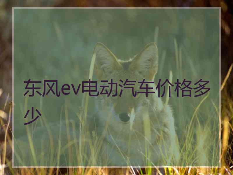 东风ev电动汽车价格多少