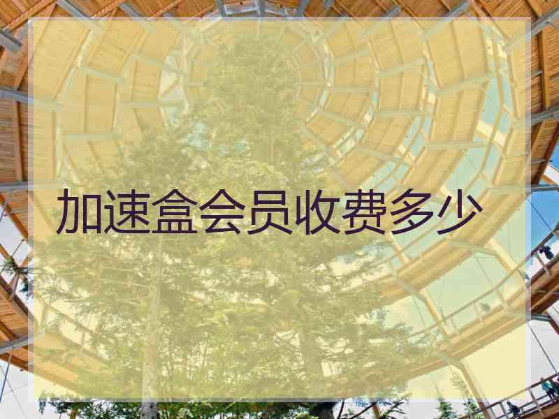 加速盒会员收费多少