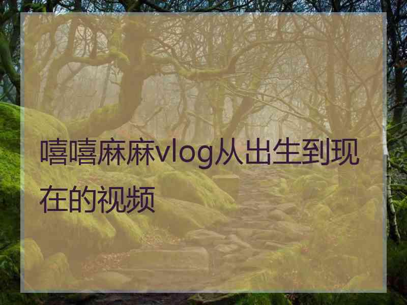 嘻嘻麻麻vlog从出生到现在的视频