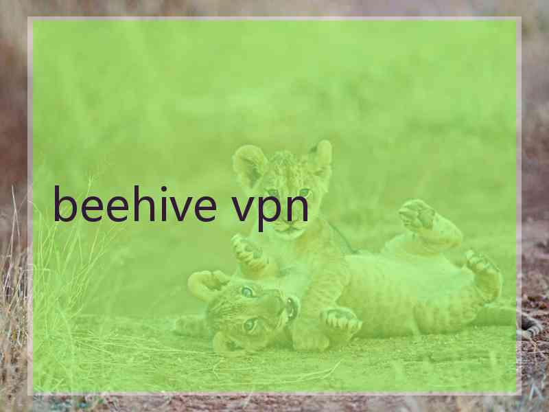 beehive vpn