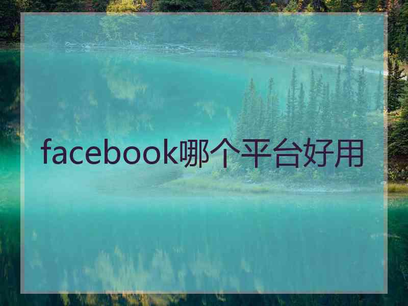 facebook哪个平台好用