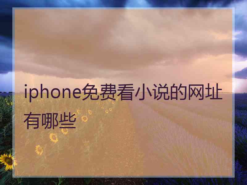 iphone免费看小说的网址有哪些