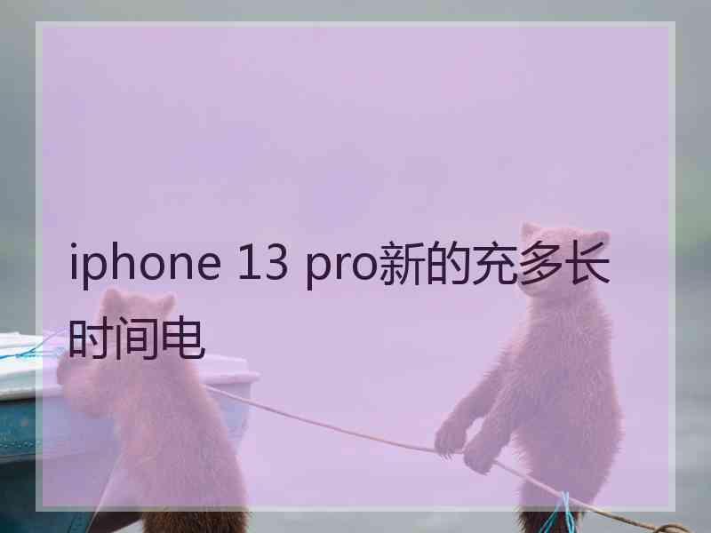 iphone 13 pro新的充多长时间电