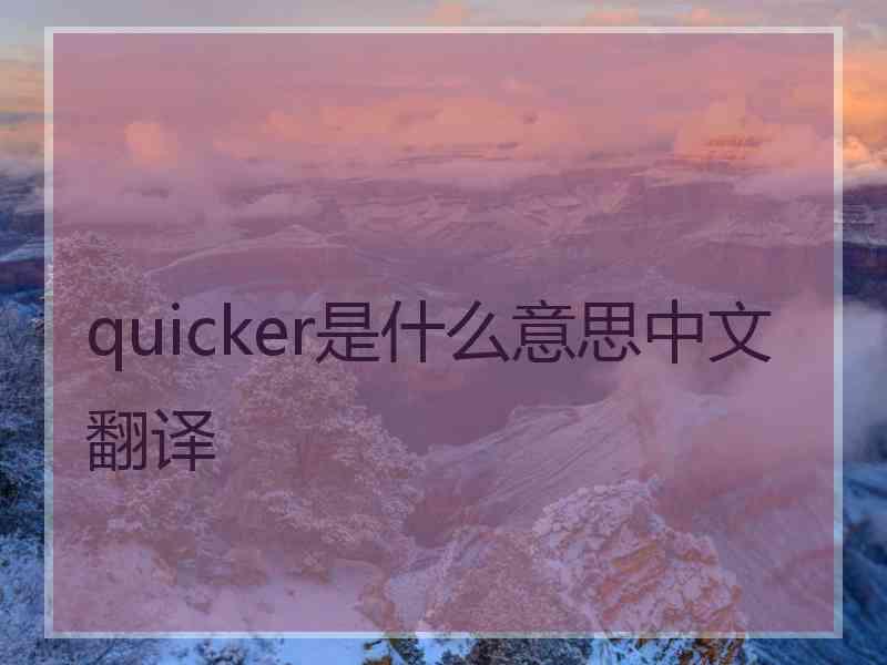 quicker是什么意思中文翻译