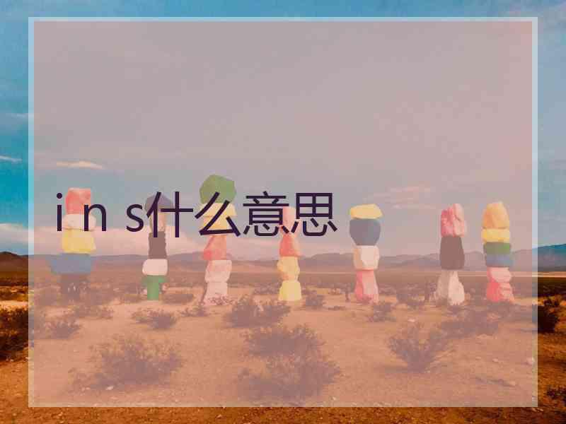 i n s什么意思