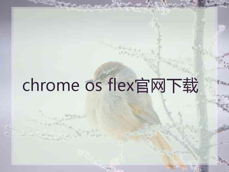 chrome os flex官网下载