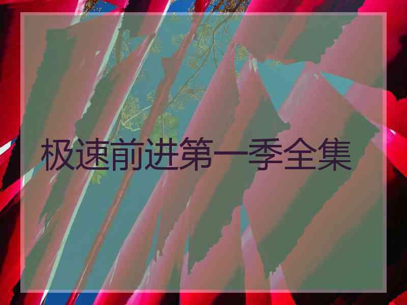 极速前进第一季全集