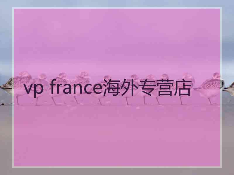 vp france海外专营店