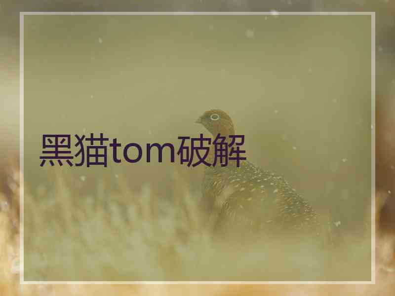 黑猫tom破解