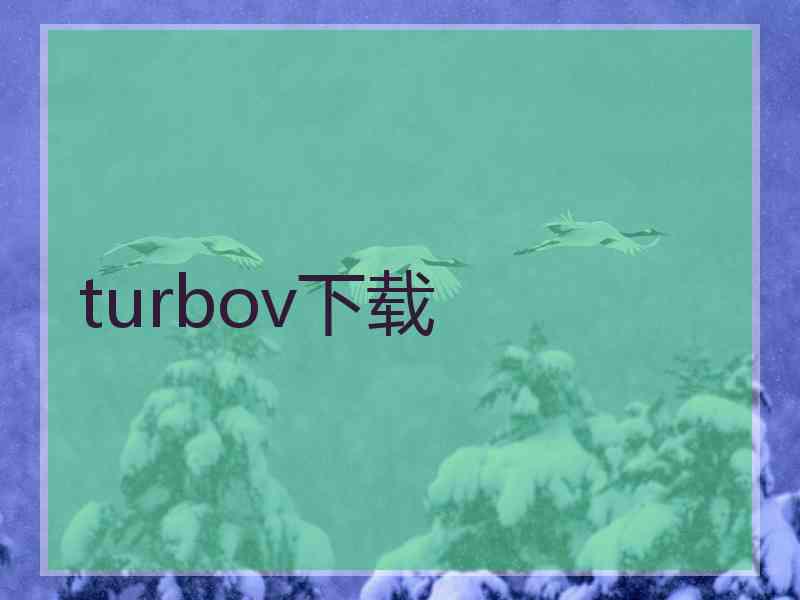 turbov下载