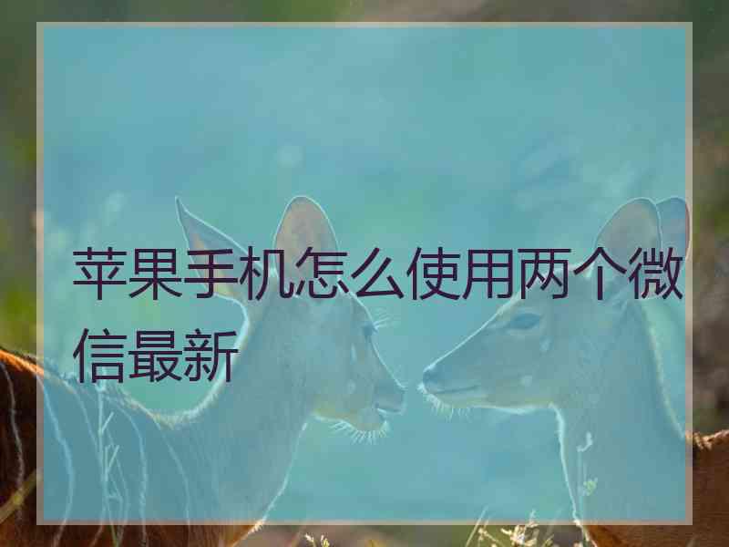 苹果手机怎么使用两个微信最新