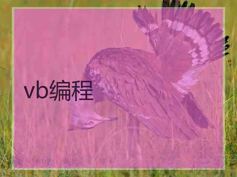 vb编程