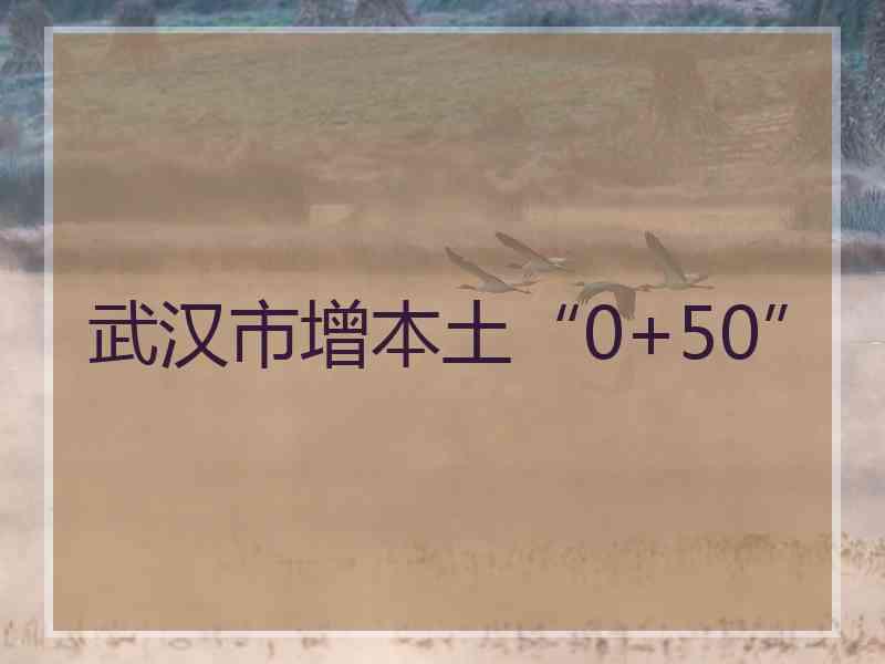 武汉市增本土“0+50”