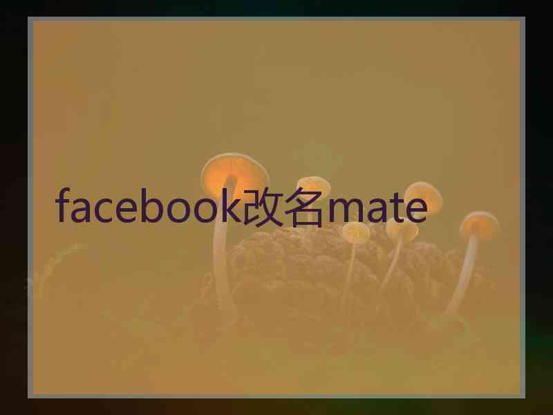 facebook改名mate