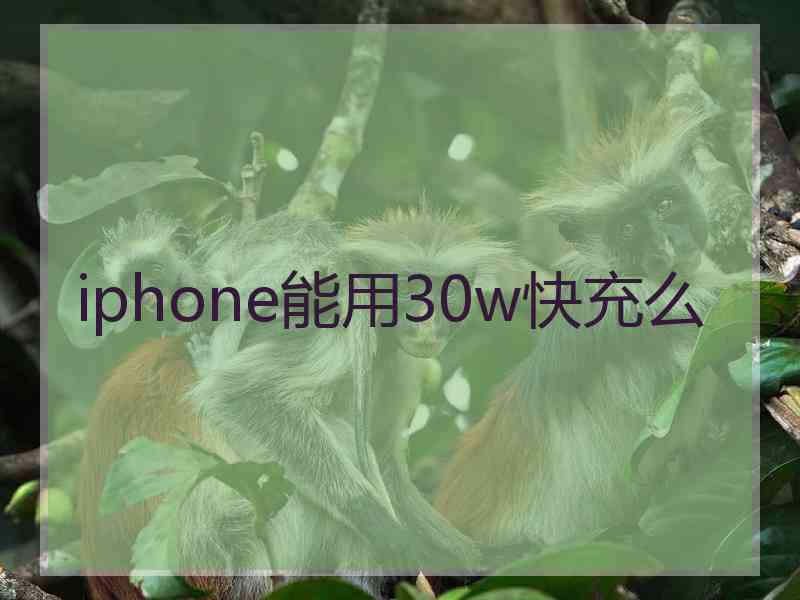 iphone能用30w快充么