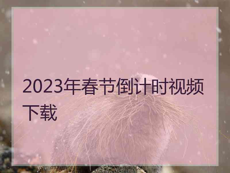 2023年春节倒计时视频下载