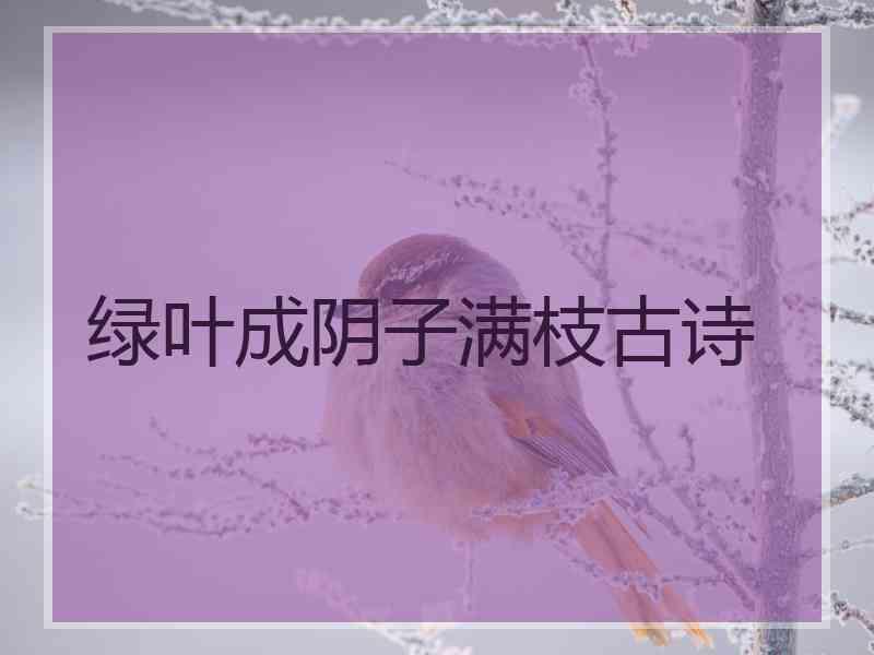 绿叶成阴子满枝古诗