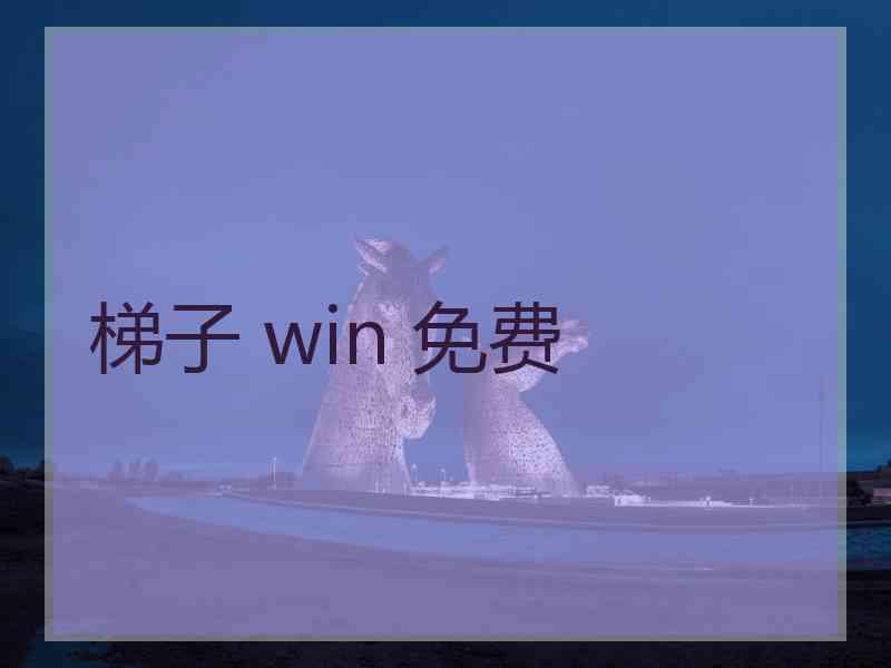 梯子 win 免费