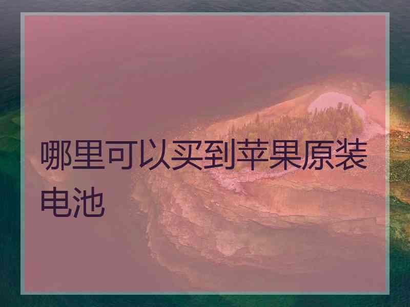 哪里可以买到苹果原装电池