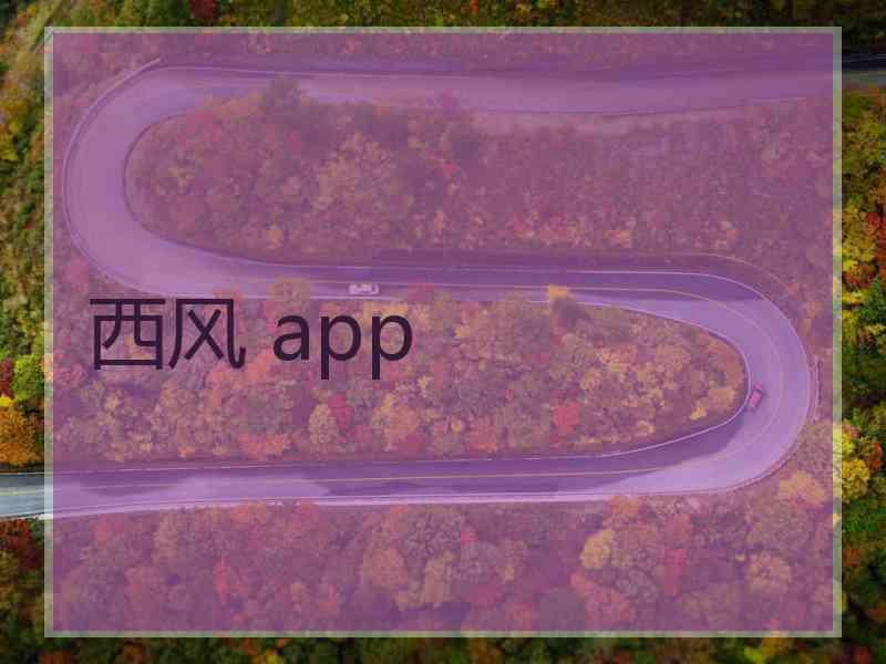 西风 app