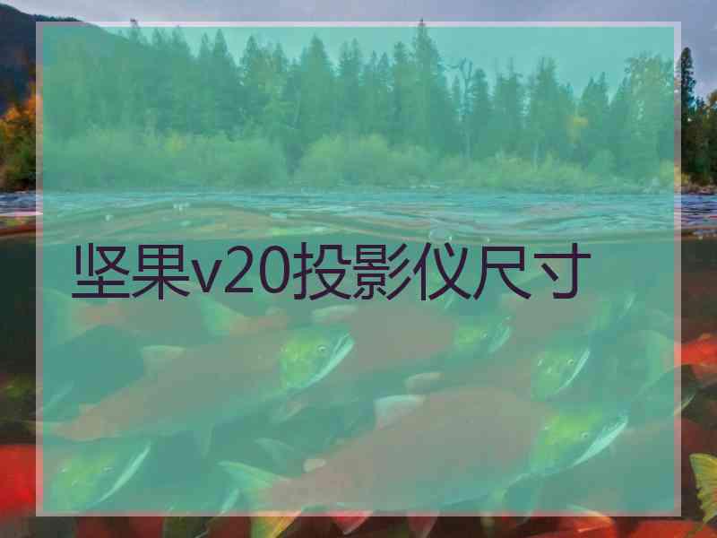 坚果v20投影仪尺寸