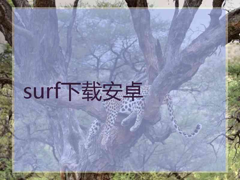 surf下载安卓