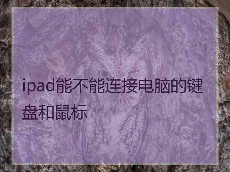 ipad能不能连接电脑的键盘和鼠标