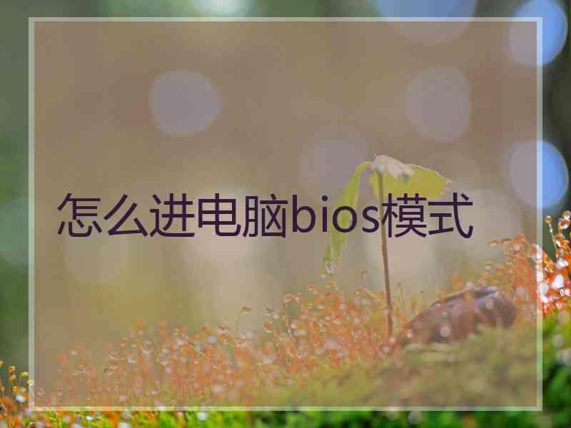 怎么进电脑bios模式