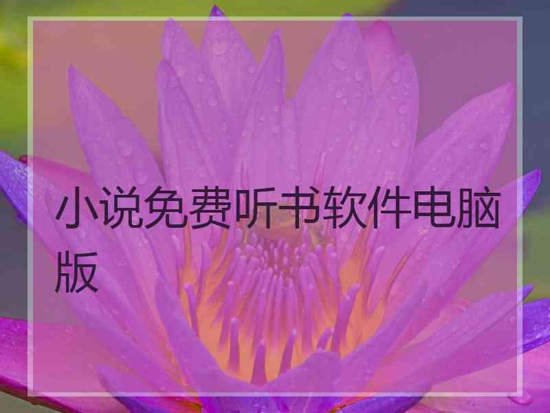 小说免费听书软件电脑版