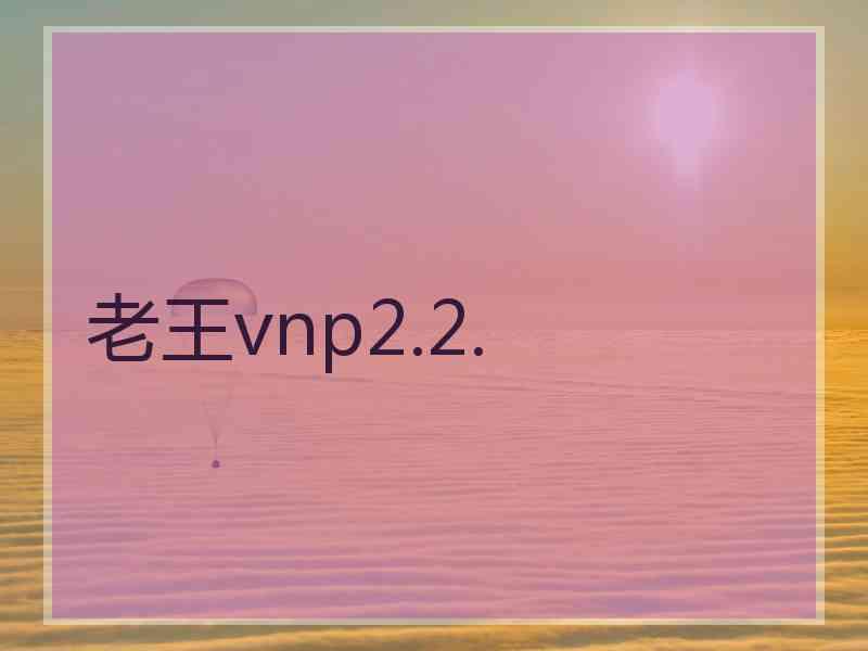 老王vnp2.2.