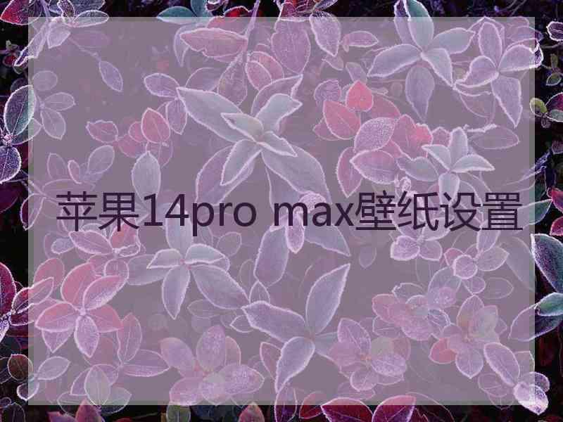 苹果14pro max壁纸设置