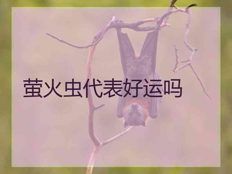 萤火虫代表好运吗