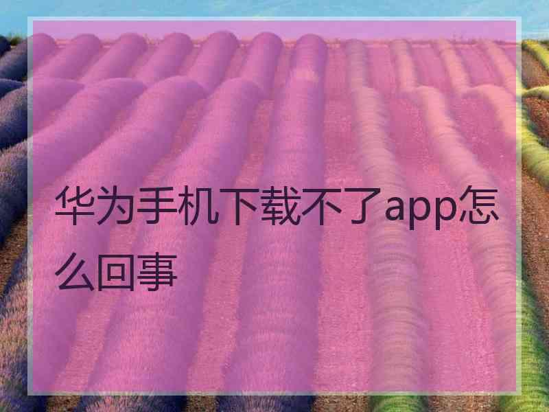 华为手机下载不了app怎么回事