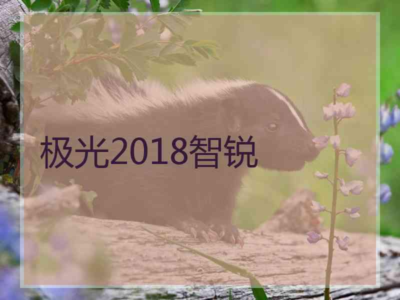 极光2018智锐