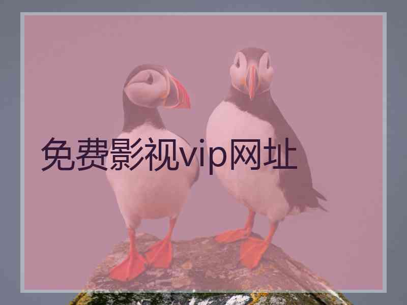 免费影视vip网址