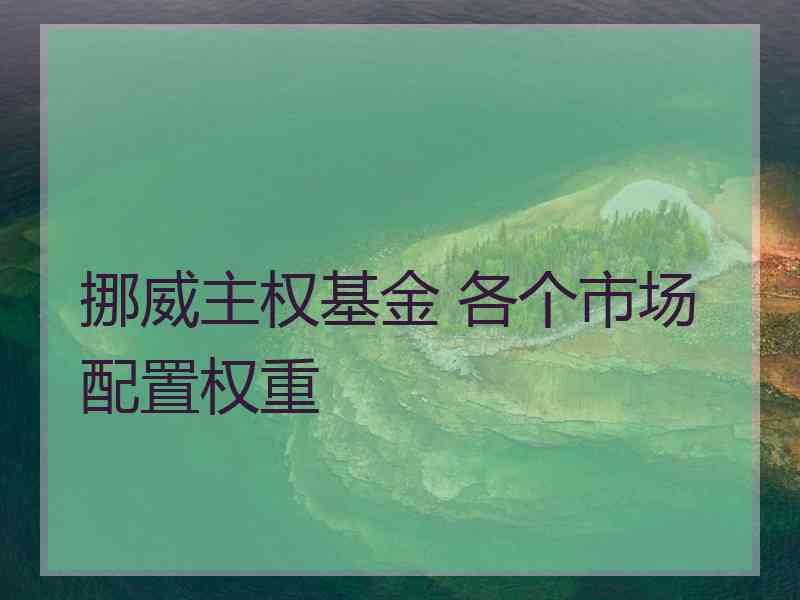 挪威主权基金 各个市场配置权重