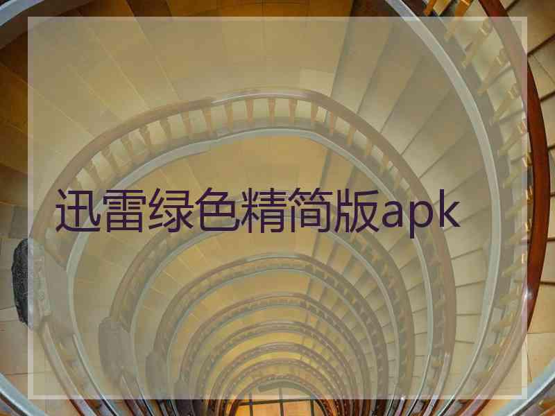 迅雷绿色精简版apk