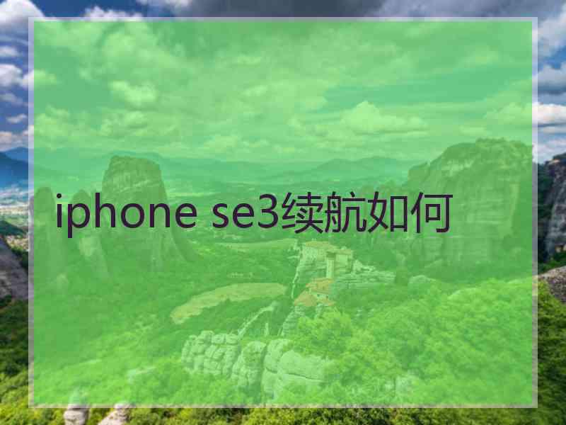 iphone se3续航如何