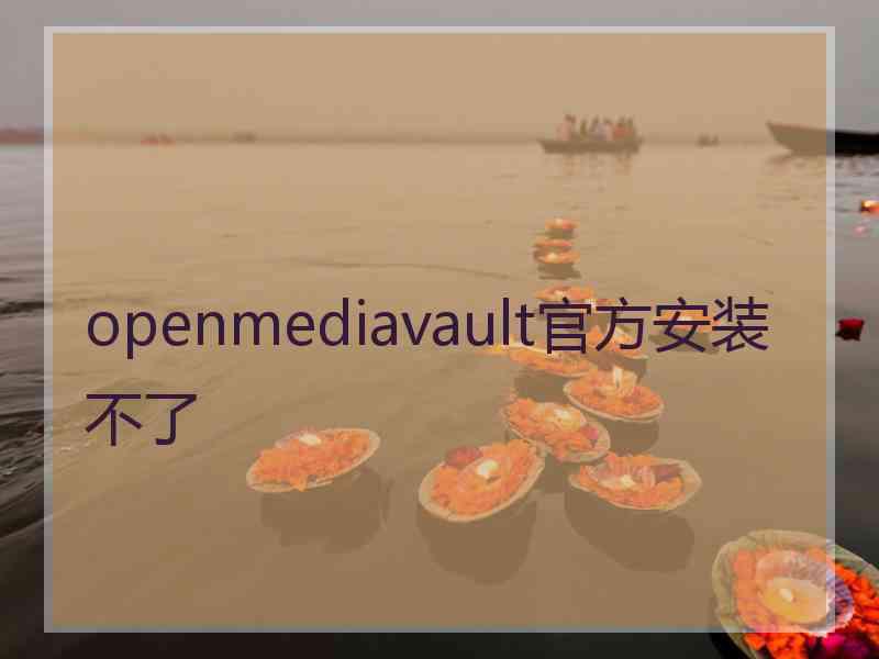 openmediavault官方安装不了