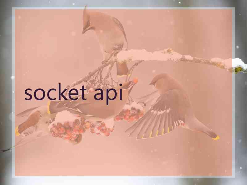 socket api