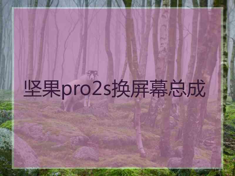 坚果pro2s换屏幕总成